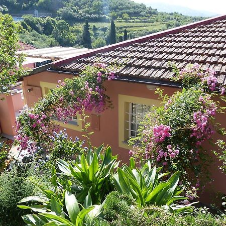 Belvedere Lodge 基亚瓦里 外观 照片