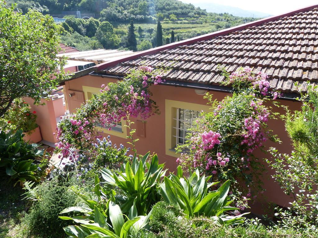 Belvedere Lodge 基亚瓦里 外观 照片